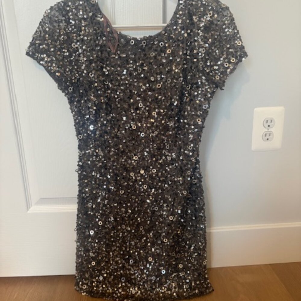 Adriana Papell Sequin Dress